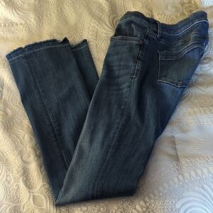 Express Indigo Straight Leg Jeans